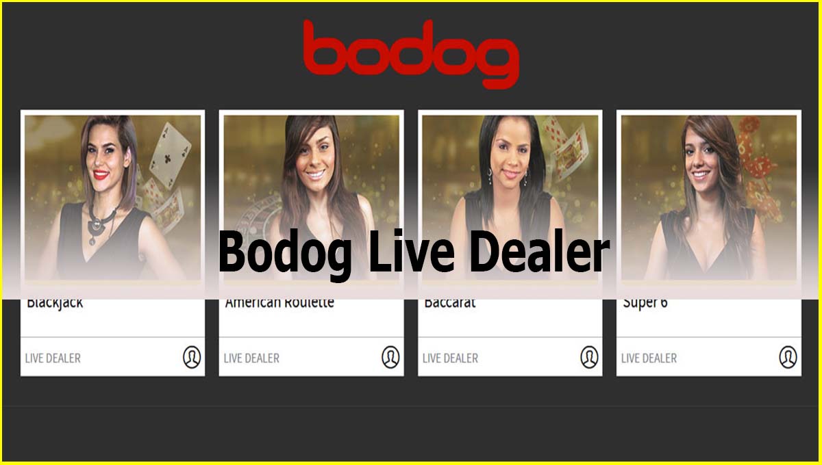 Bodog Malaysia Live Dealer